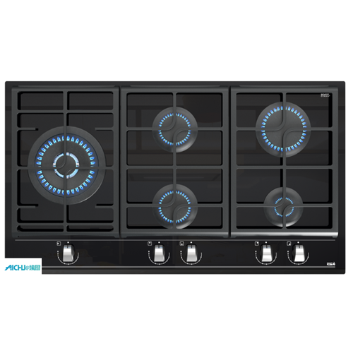 Built-in Cooking Piano 5 Burner