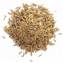 Top Quality 100% Natural Spice Cumin Seeds