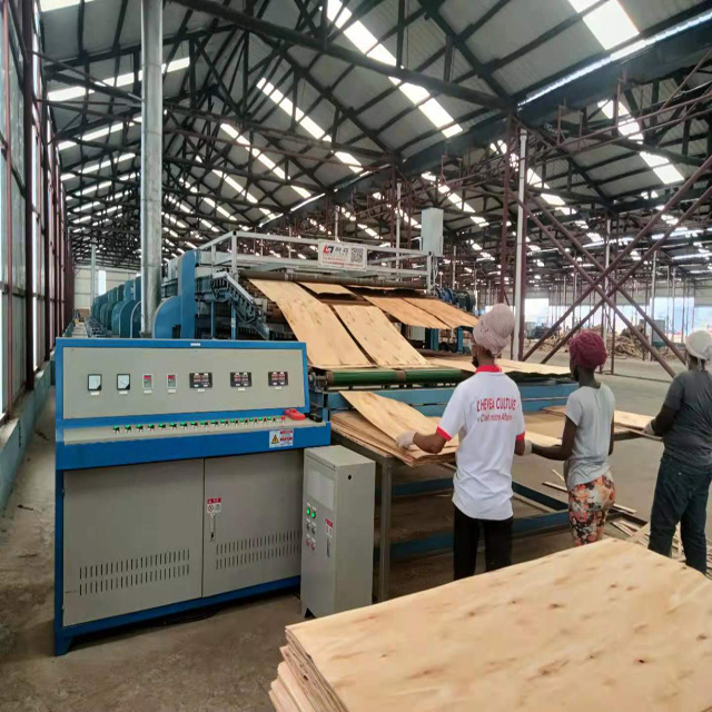Sperrholzfurniertrockner Plywood Veneer Dryers