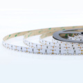 3014SMD 120D Led di emissione lato bianco puro