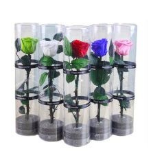 2025 Hot Selling Customized Color Eternal Rosas Preserved Roses in Vase