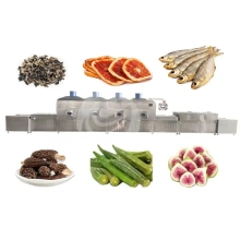 Wheat Germ Microwave Dryer Sterilizer Equipment for Protein Powder and Bread Crumbs