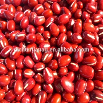 organic adzuki beans