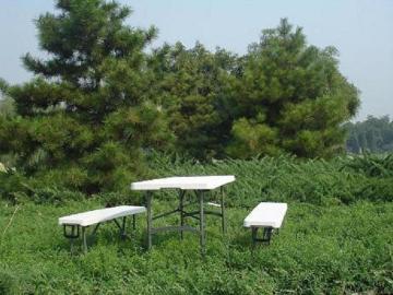 Picnic Table Set