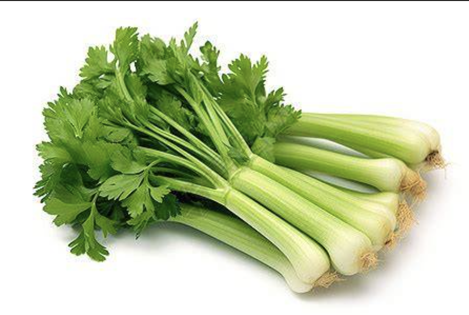 الشركة المصنعة لاستخراج الكرفس Celery Extract Manufacturer