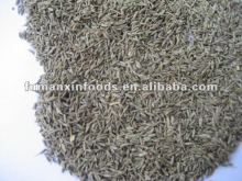 Cumin seed