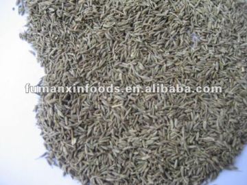 Cumin seed