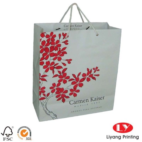 Luxury Style Gift Custom Shopping Paper Bag