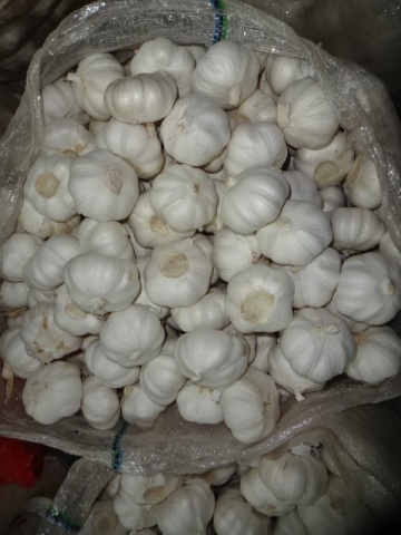 Pure White Garlic 2020 1Kg Bag