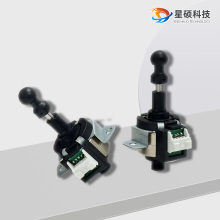 Little Audi with iron wings