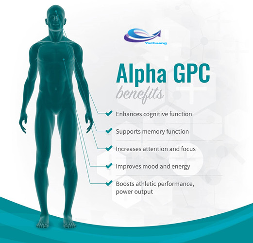 alpha gpc powder