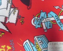 Printing Swimming Cloth Fabric (XF101P)