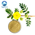 Tribulus terrestris экстракт 90% сапонинов