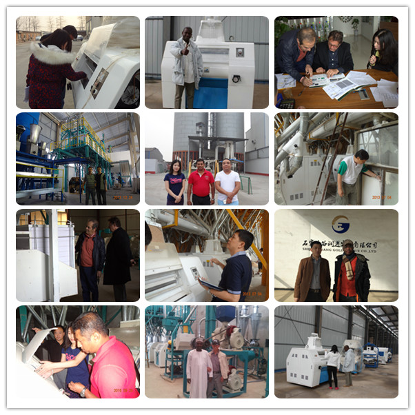 Fraiseuse de farine Flour Milling Machine