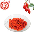 Buah Kering Goji Berries Kesehatan