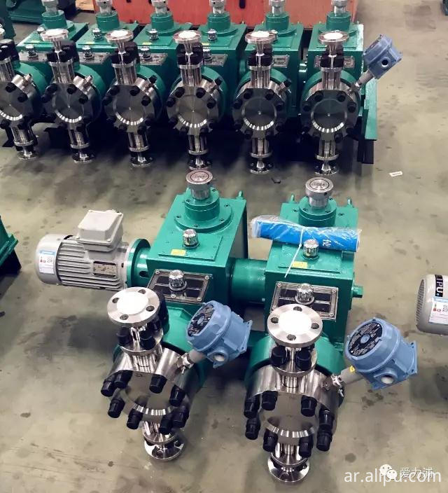 Double-Unit Special Hydraulic Diaphragm pump 1