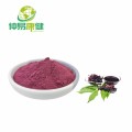 Bột Elderberry đen hữu cơ