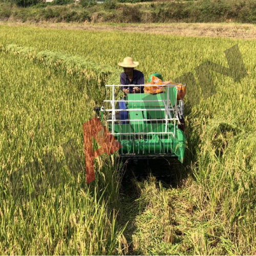 Bảng giá Máy gặt lúa kiểu dáng mới Philippines