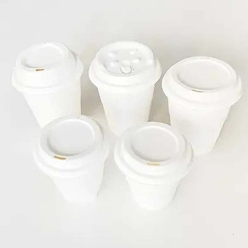 Biodegradable Coffee Cups Whoslesale