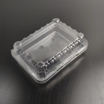 Transparent PET CLAMSHELL with small holes