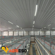 Agrieso H Type Broiler Auto Feeding and Drinking System