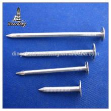 New design clout nail made in China