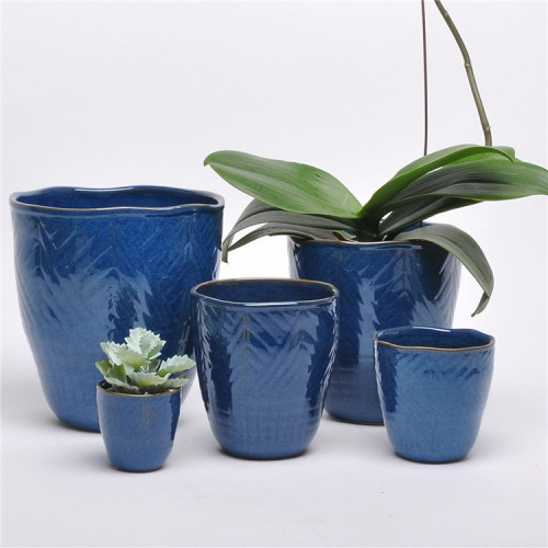Melhores vasos de planta de cerâmica pequena azul