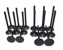 Automotive Intake Valves for Truck Engines