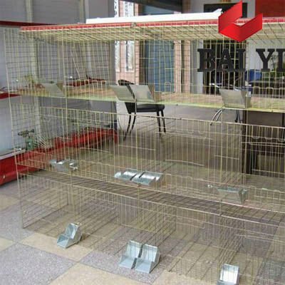 Cheap Rabbit Farming Cage