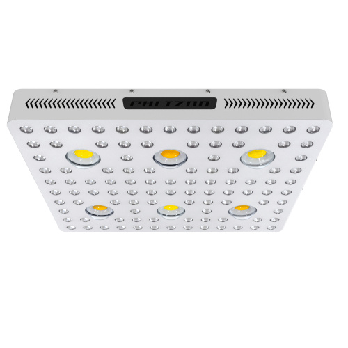 Phlizon 크리어 CXB3590 3000W COB LED 성장 빛