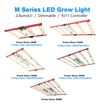 Dalam Stok 240w tumbuh ringan LM301B AGLEX