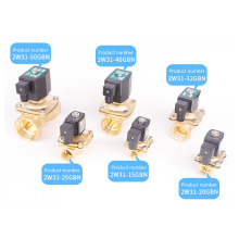 12V/24V Normally Closed Brass Solenoid Valve, 1/2 Inch Water/Gas Electric Actuator