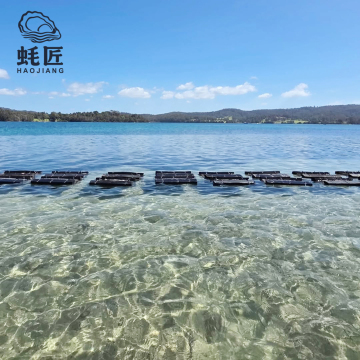 HDPE Rectangle Foam oyster mesh bag for farming