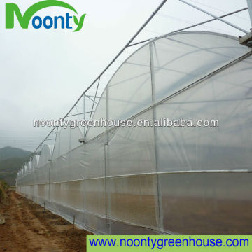 Commercial Greenhouse for Agriculture