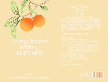 Enzyme skin care spray