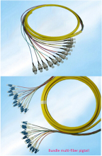 12 Cores Bundle Multi-Fiber Pigtail