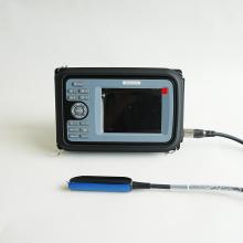 Veterinary Diagnostic Ultrasound for Dogs