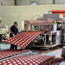 Heat-Insulating ASA Roofing Sheets | Reduce Indoor Heat