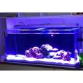 LED Lighting Systems for Aquariums