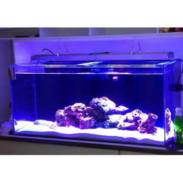 LED Lighting Systems for Aquariums