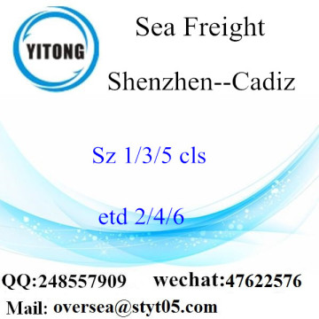 Shenzhen Port LCL Konsolidierung nach Cadiz