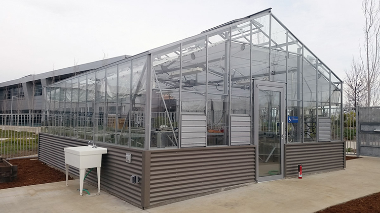 Glass Greenhouse