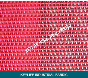 Polyester Dryer Screen of Paper Machine Clothing