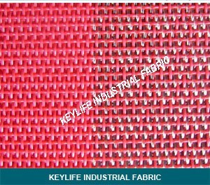 Polyester Dryer Screen of Paper Machine Clothing