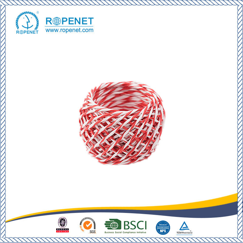 Colorful Twisted Cord Paper Twine with Competitive Price