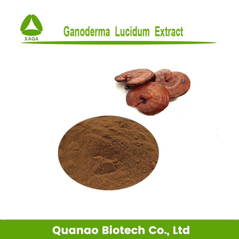 Reishi Ganoderma Lucidum Extract 50% порошок полисахаридов