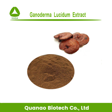 Polvo de polisacáridos de extracto 50% de Reishi Ganoderma Lucidum