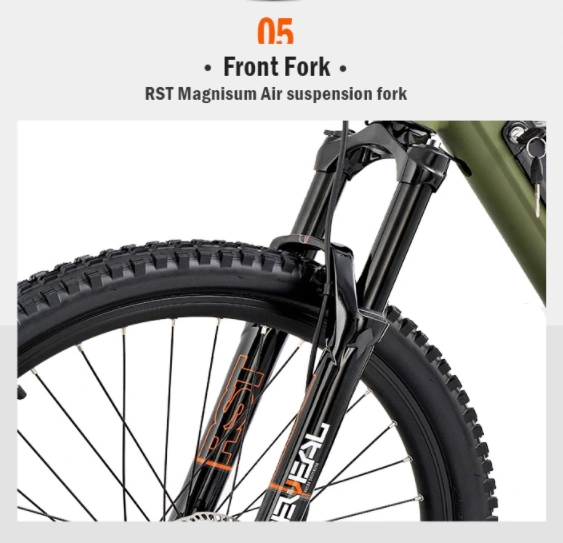 Suspension Electric Bike Made in Europe with 500W Bafang Motor