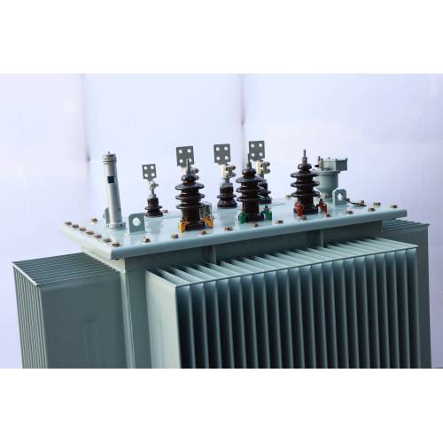 S13 Electric Oil Immersed Power Transformer
