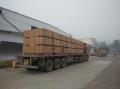 Iran storlek Bulk MDF pris